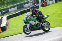 brands-hatch-photographs;brands-no-limits-trackday;cadwell-trackday-photographs;enduro-digital-images;event-digital-images;eventdigitalimages;no-limits-trackdays;peter-wileman-photography;racing-digital-images;trackday-digital-images;trackday-photos